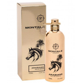Arabians | Montale